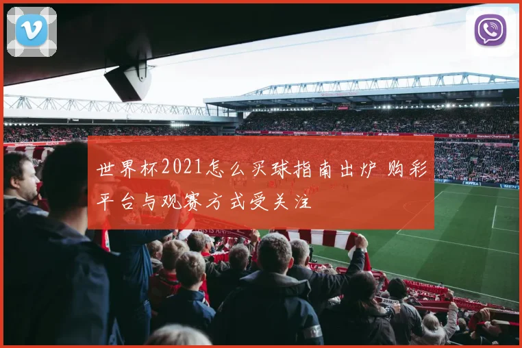 世界杯2021怎么买球指南出炉 购彩平台与观赛方式受关注