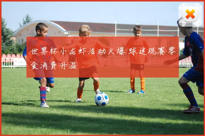 世界杯小龙虾活动火爆 球迷观赛零食消费升温
