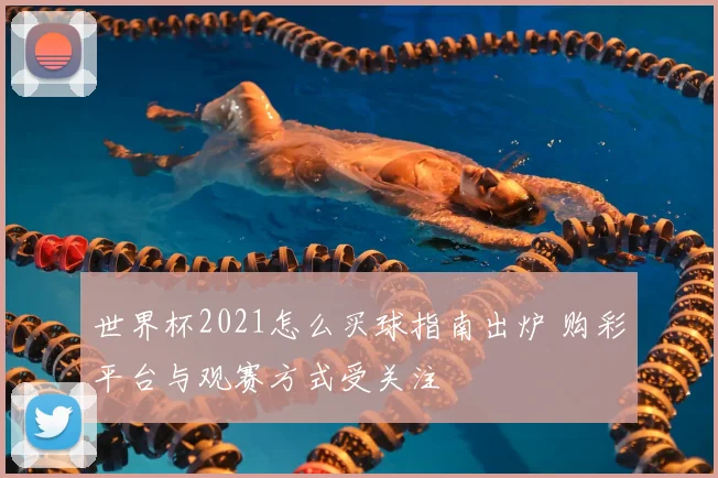 世界杯2021怎么买球指南出炉 购彩平台与观赛方式受关注