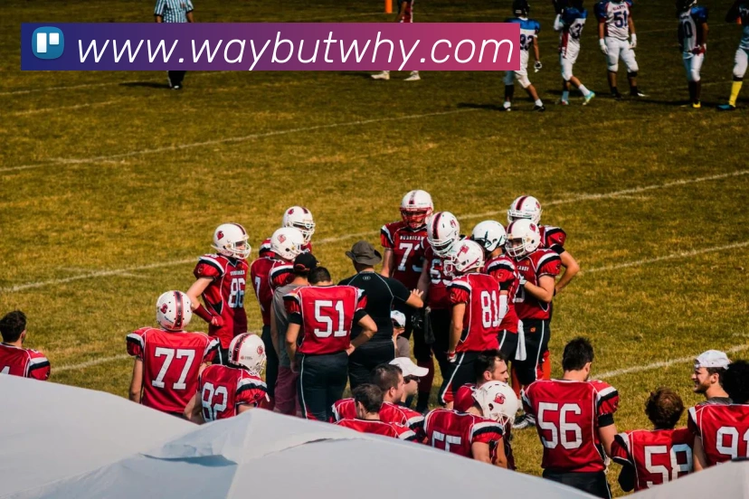 世界杯官方网络平台发展历程